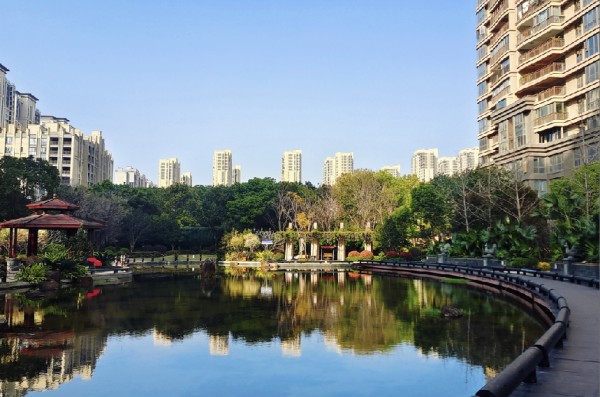 1723181017225919.jpg 13.JPG